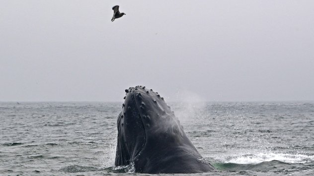 Снимка: Bloomberg LP