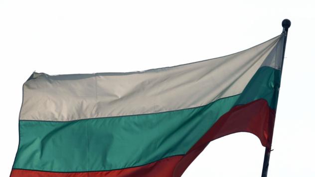 Трикольор. снимка: Велко Ангелов/Bloomberg