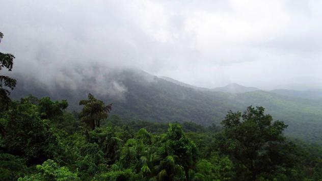 Снимка: Pixabay