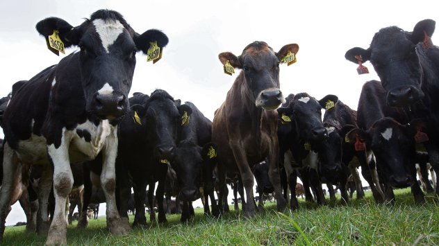 Снимка: Bloomberg L.P.