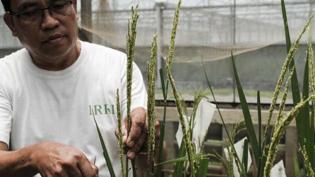 Снимка: Bloomberg L.P.