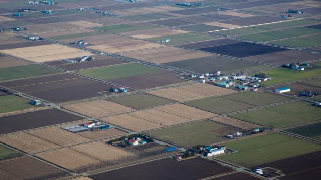 Оризови полета в Япония Снимка: SeongJoon Cho/Bloomberg