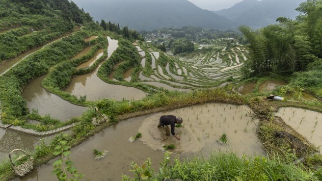 Снимка: Bloomberg L.P.