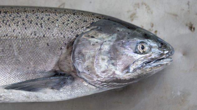 Снимка: Bloomberg L.P.