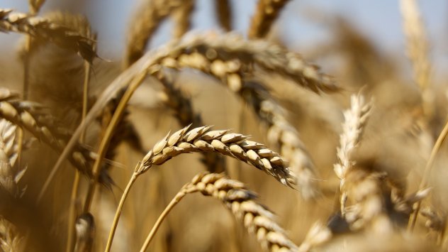 Снимка: Bloomberg 