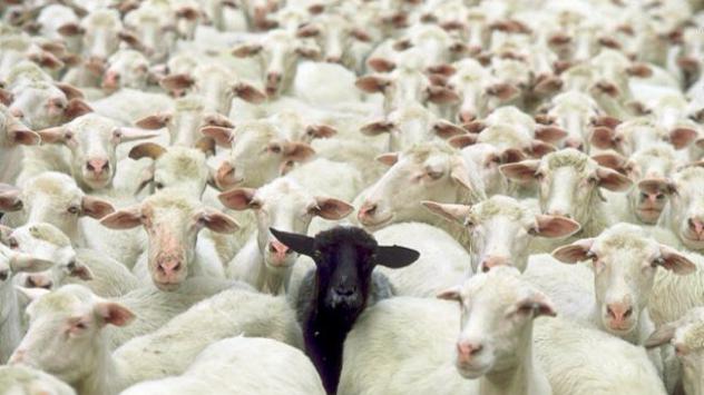 Снимка: Twitter