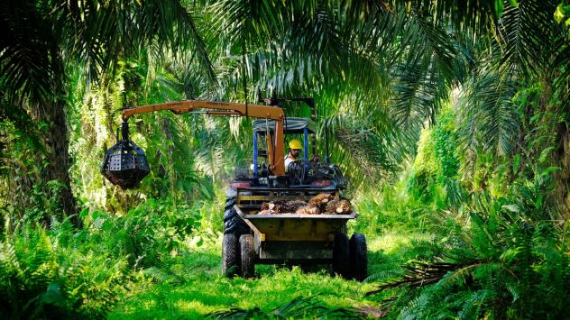 Снимка: Bloomberg L.P.