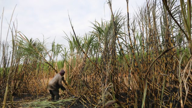 Снимка: Bloomberg LP