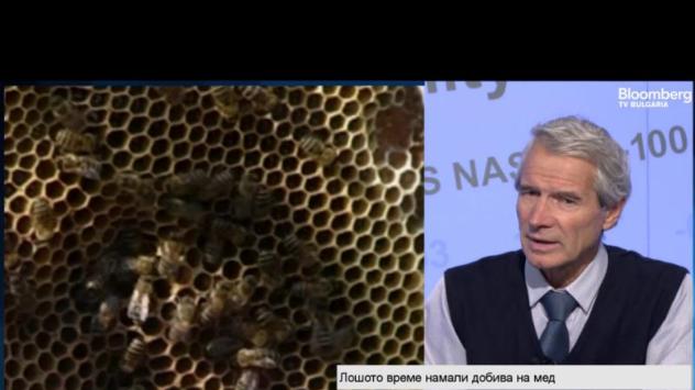 Михаил Михайлов, председател на Обединения съюз на пчеларите в България. Снимка: Bloomberg TV Bulgaria
