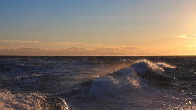 Снимка: Pixabay