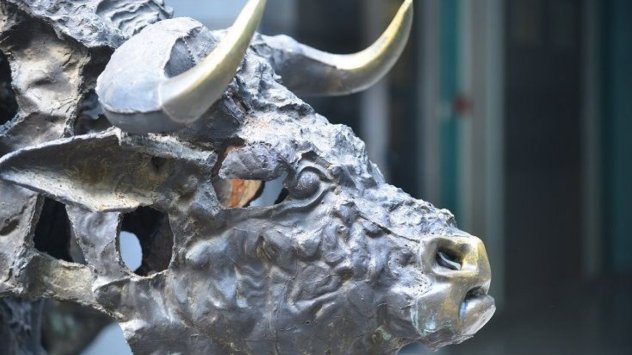 Снимка: БФБ