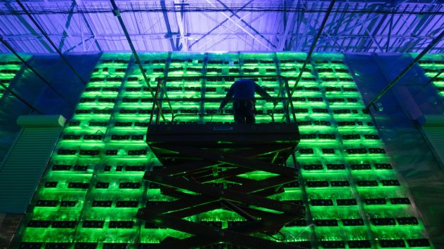 Снимка: Bloomberg L.P.
