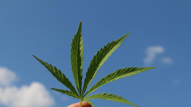 Снимка: Pixabay