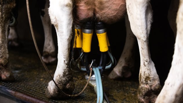 Снимка: Bloomberg