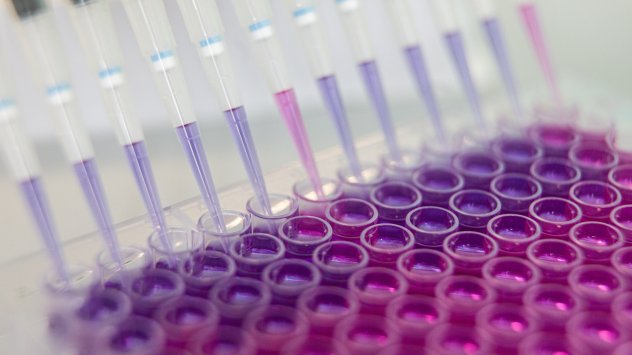 Снимка: Bloomberg L.P.