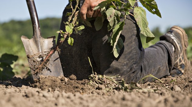 Снимка: Bloomberg 