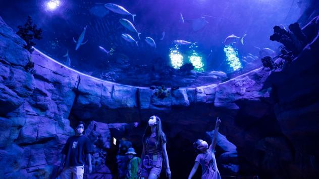 Снимка: Bloomberg