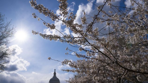 снимка: Bloomberg LP