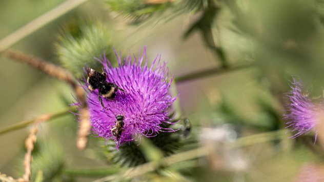 Снимка: Bloomberg L.P.