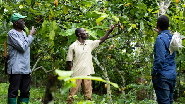 Снимка: Bloomberg L.P.