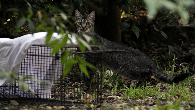 Снимка: Bloomberg