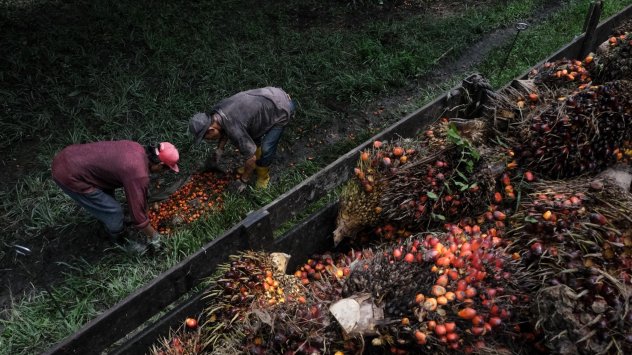 Цените на широк спектър от стоки се покачиха до най високото