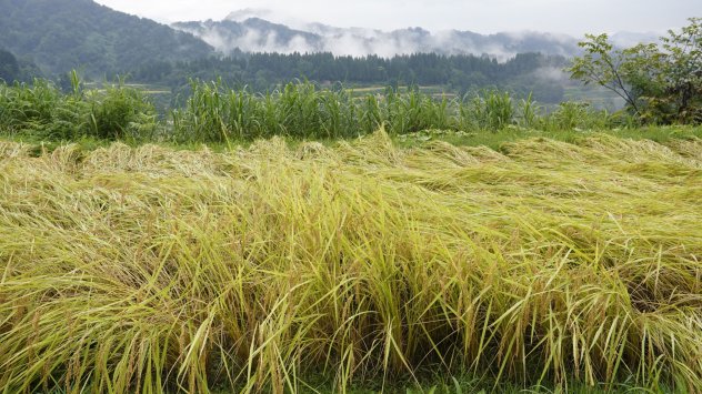 Снимка: Bloomberg