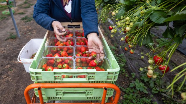 Снимка: Bloomberg L.P.