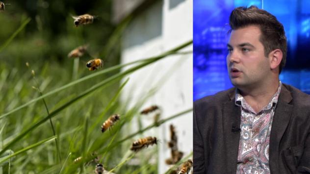 Иван Кънев, съосновател на Bee Smart Technologies. Снимка: Bloomberg TV Bulgaria 