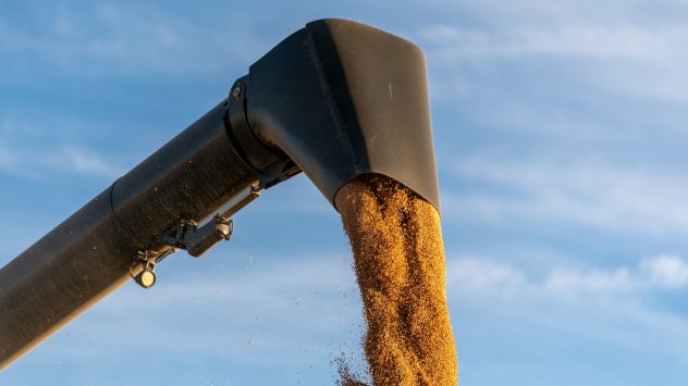 Фючърсите на пшеницата скочиха с 6.9% след като руският президент