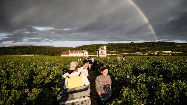 Горският пожар започна в необичайно сух летен ден в гора