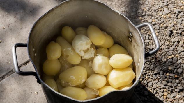 Снимка: Tamara Merino/Bloomberg