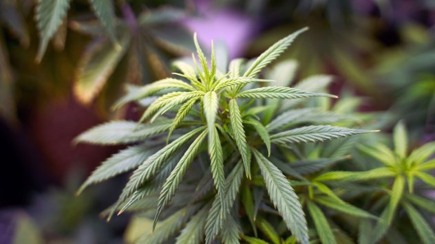 Снимка: Bloomberg LP