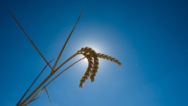 Снимка: Bloomberg LP