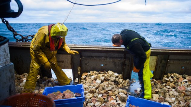 Снимка: Bloomberg L.P.