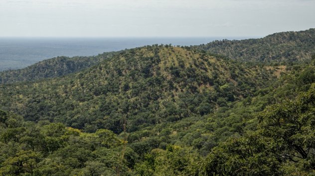 снимка: Bloomberg LP