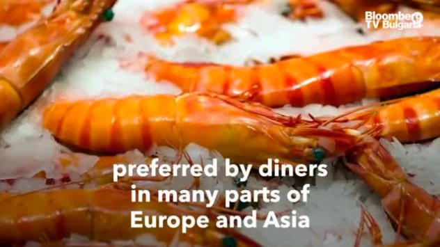 Близо до бреговете на езерото Маракайбо помогнало преди век за