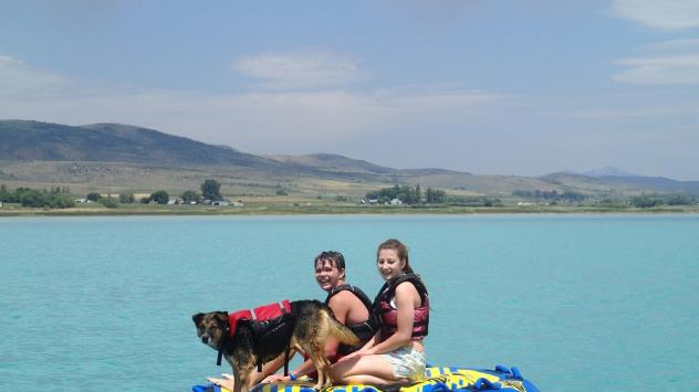 Снимка: Pyxabay