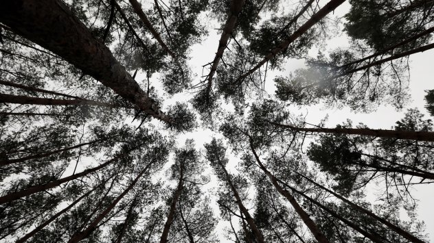 Снимка: Bloomberg L.P.