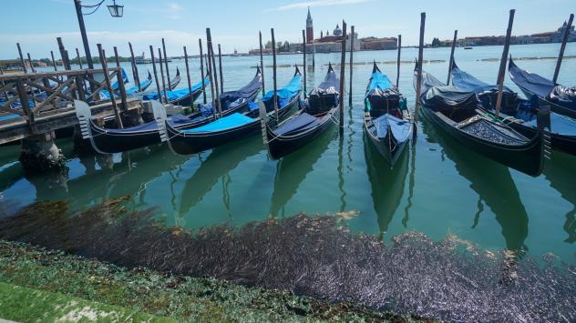 Снимка: Andrea Merola