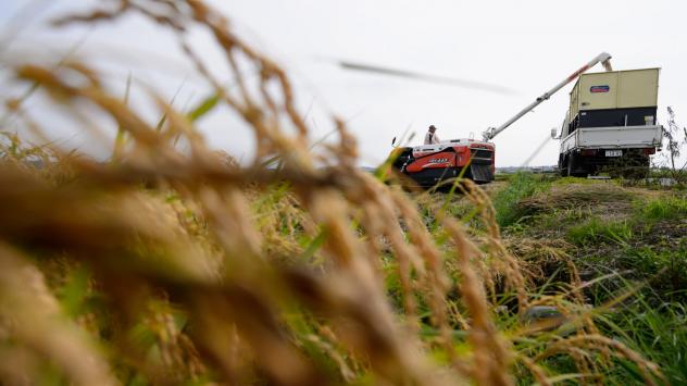 Снимка: Akio Kon/Bloomberg