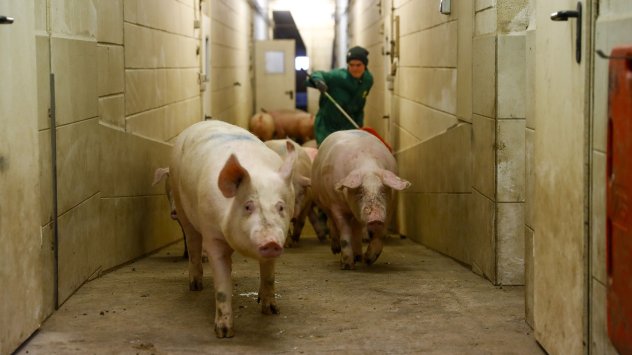 Снимка: Bloomberg