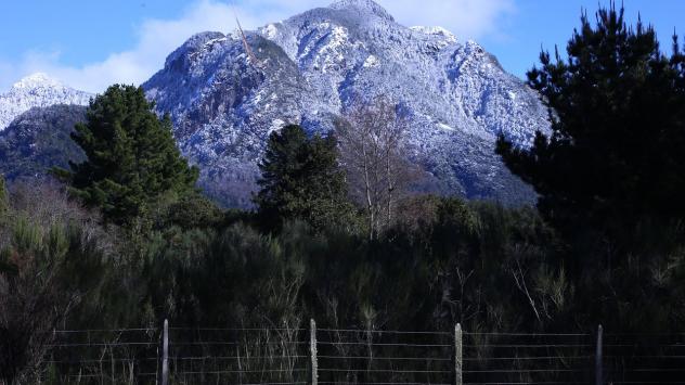 Снимка: pixabay