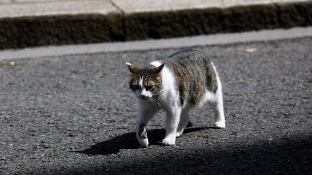 Снимка: Simon Dawson/Bloomberg