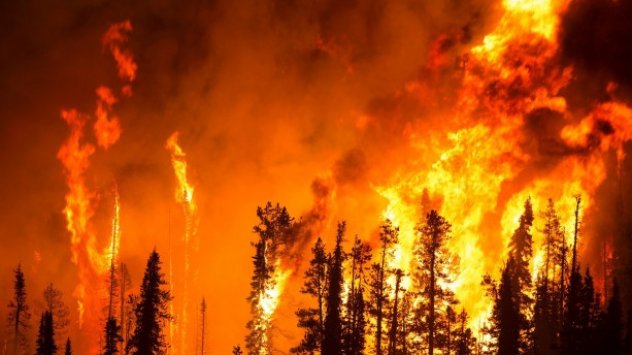 Снимка: Bloomberg L.P.