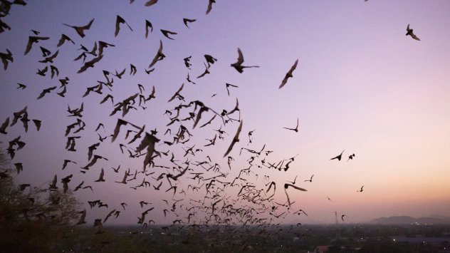 Снимка: Bloomberg L.P.