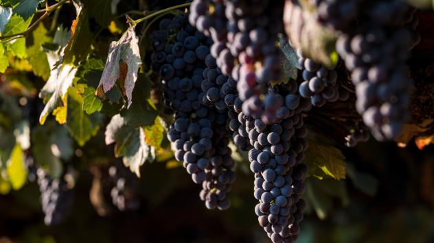 Снимка: Bloomberg