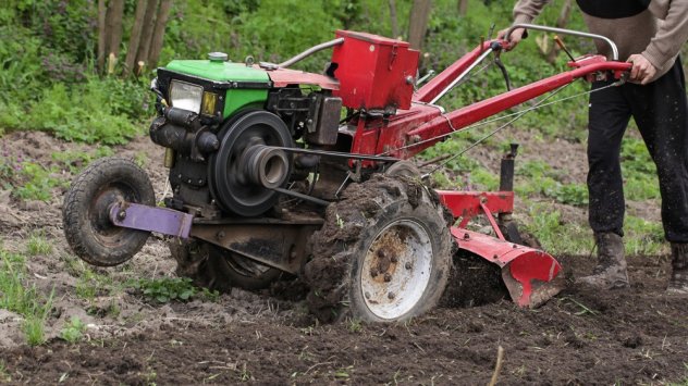 Изображение: Canva.com