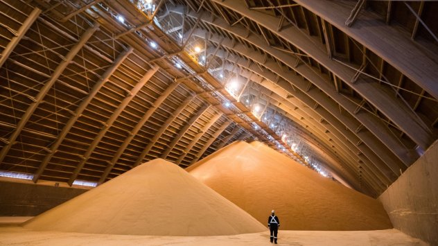 България планира да увеличи зърнените си резерви и да купува