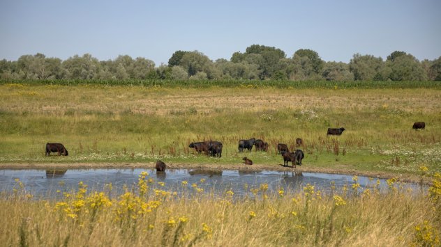 Снимка: Bloomberg